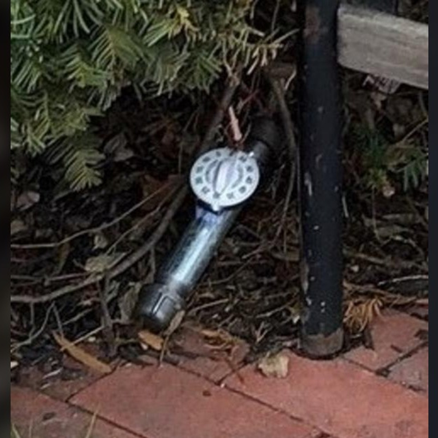 One of the pipe bombs as it was found, a galvanized steel pipe with dark end caps and a white kitchen timer fixed to it, lying in mulch and dead branches under an evergreen shrub beside a black metal post at the edge of a brick sidewalk